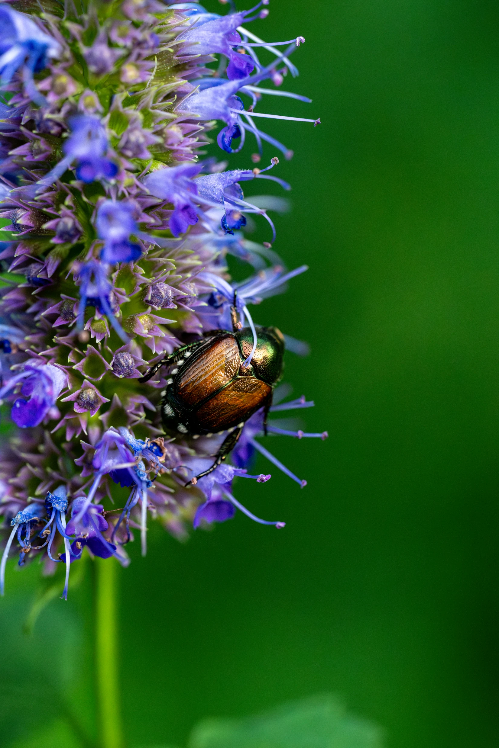 _DSC0490-Enhanced-NR