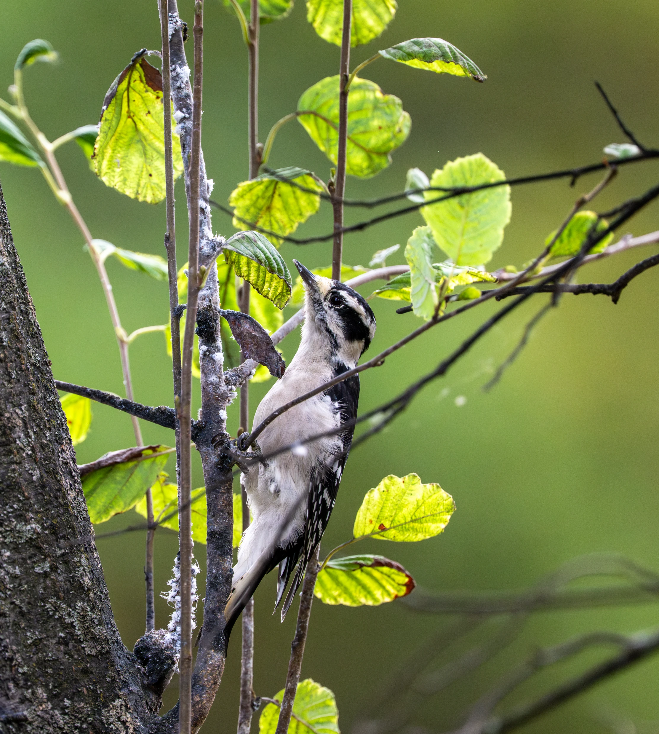 _DSC0746-Enhanced-NR