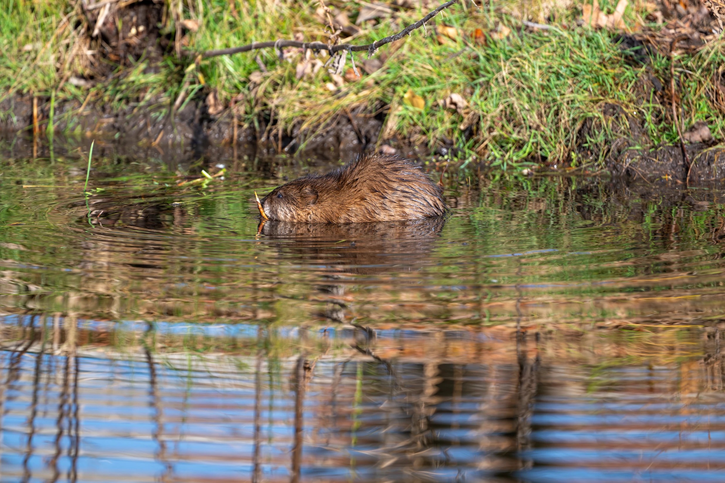 _DSC2725-Enhanced-NR